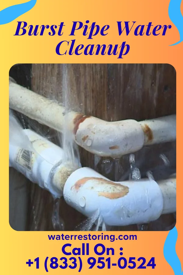 Burst Pipe Water Cleanup in Crawfordsville, IA